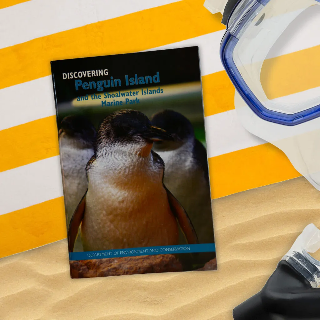 Discovering Penguin Island and Shoalwater Island Marine Park